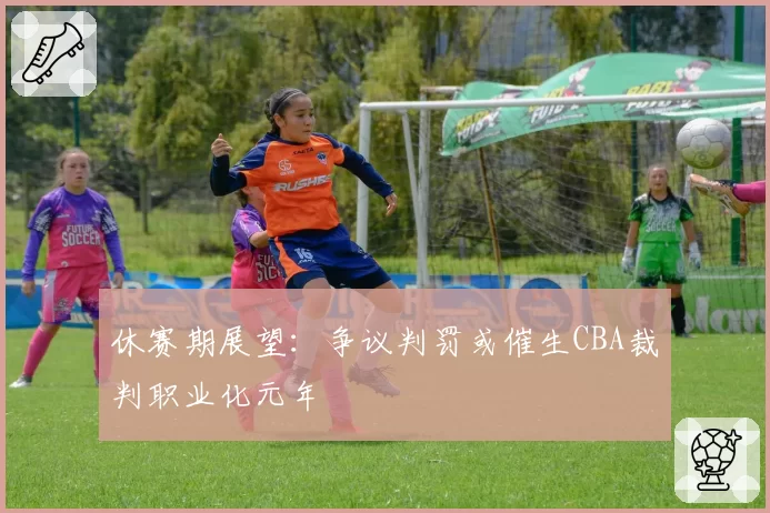 休赛期展望:争议判罚或催生CBA裁判职业化元年