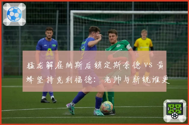 猛龙解雇纳斯后锁定斯奈德 vs 黄蜂坚持克利福德:老帅与新锐谁更适合烂摊子