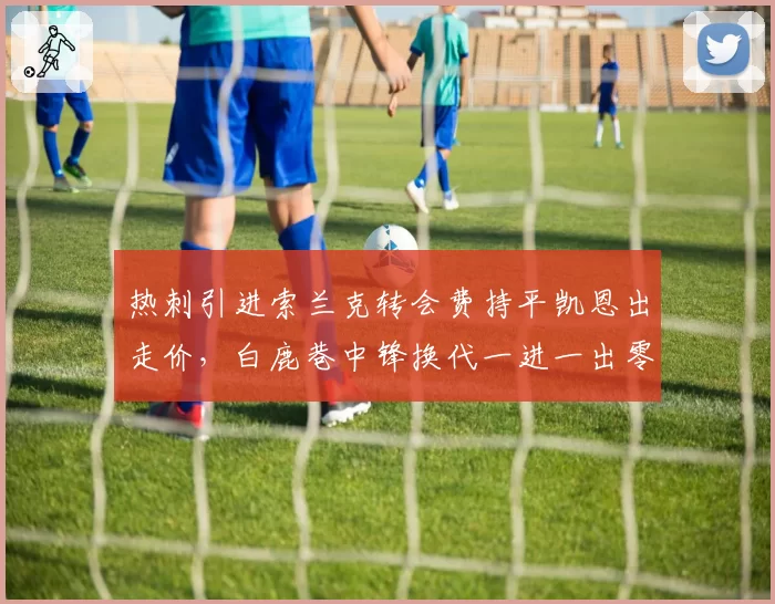 热刺引进索兰克转会费持平凯恩出走价,白鹿巷中锋换代一进一出零净投入
