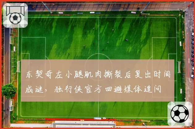 东契奇左小腿肌肉撕裂后复出时间成谜,独行侠官方回避媒体追问