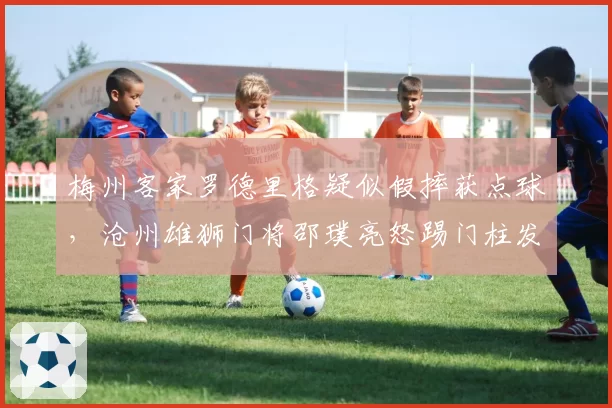 梅州客家罗德里格疑似假摔获点球,沧州雄狮门将邵璞亮怒踢门柱发泄不满