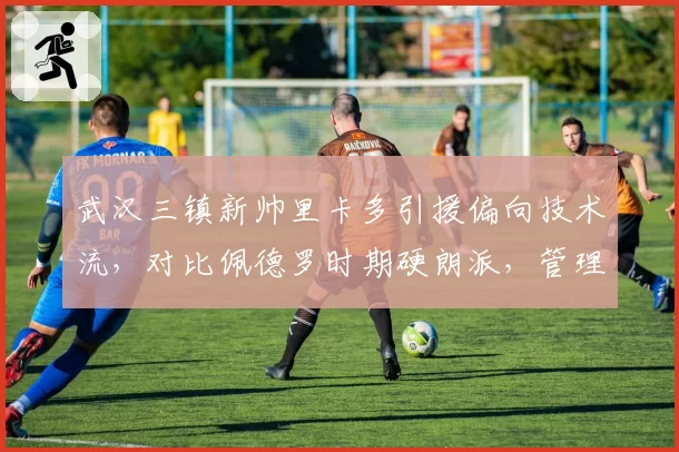 武汉三镇新帅里卡多引援偏向技术流,对比佩德罗时期硬朗派,管理层思路大转弯