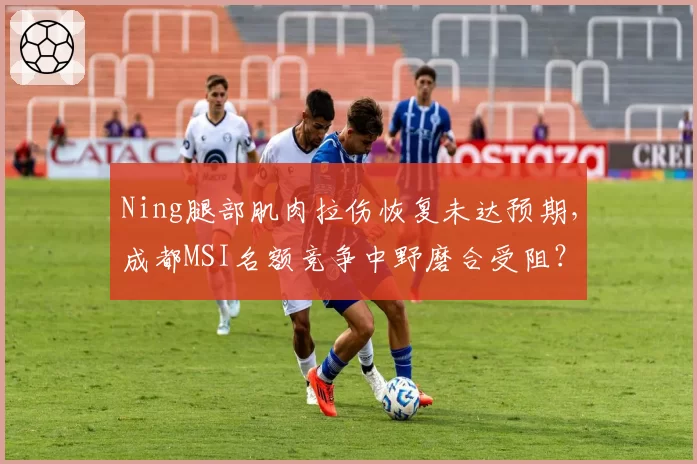 Ning腿部肌肉拉伤恢复未达预期，成都MSI名额竞争中野磨合受阻？